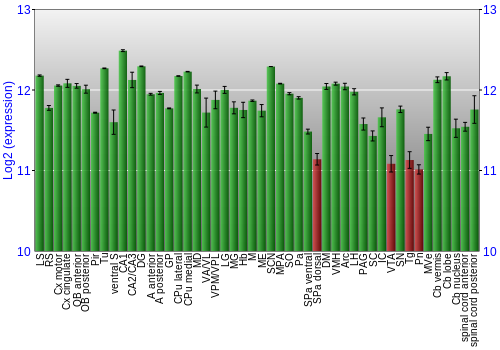 Multi-state expression graph