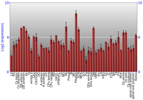 Expression graph