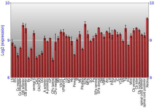 Expression graph