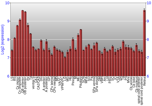 Expression graph