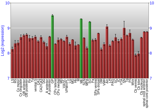 Multi-state expression graph