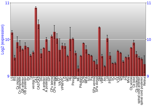 Expression graph