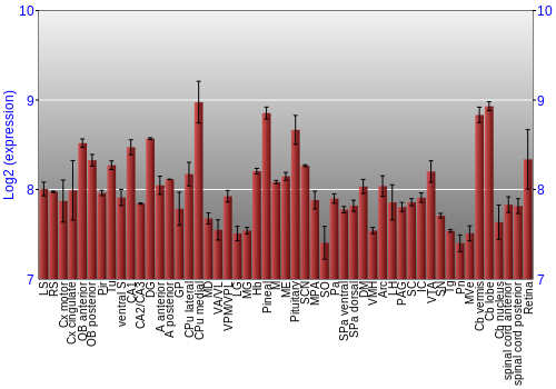 Expression graph
