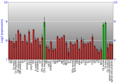 Multi-state expression graph