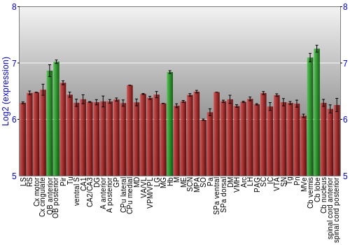 Multi-state expression graph