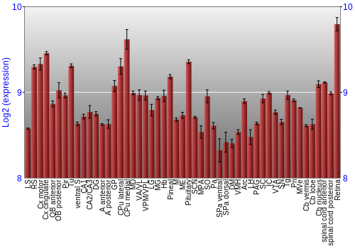 Expression graph