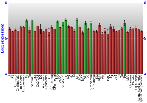 Multi-state expression graph