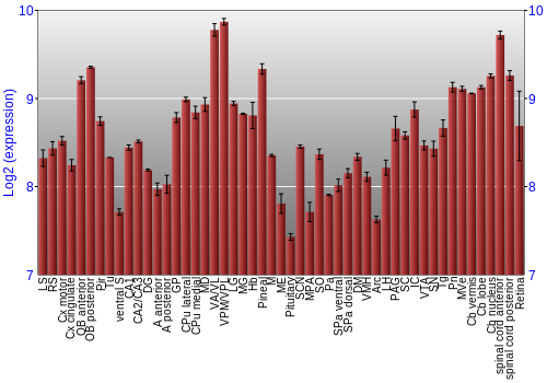 Expression graph