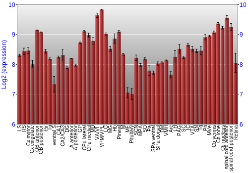 Expression graph