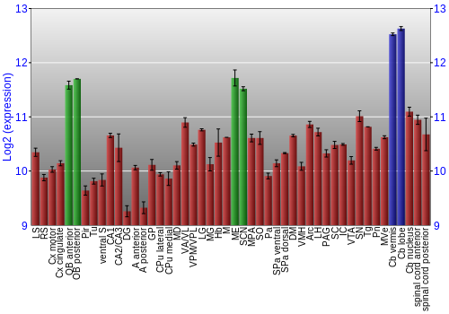 Multi-state expression graph