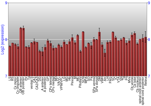 Expression graph