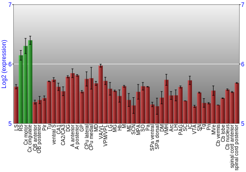 Multi-state expression graph