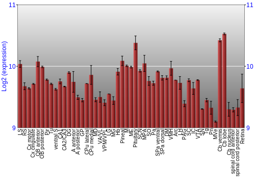Expression graph
