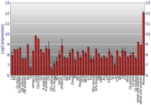Expression graph