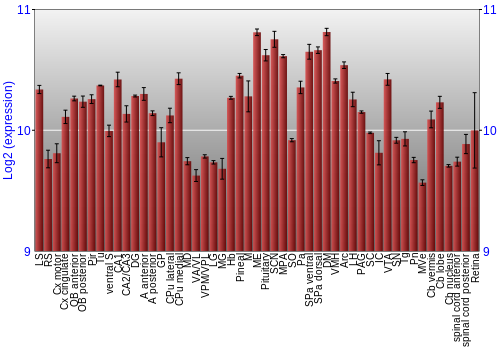 Expression graph