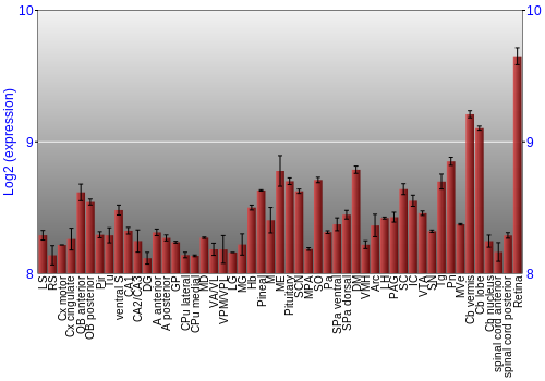 Expression graph