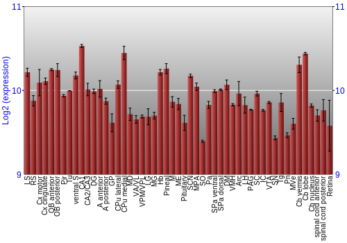 Expression graph