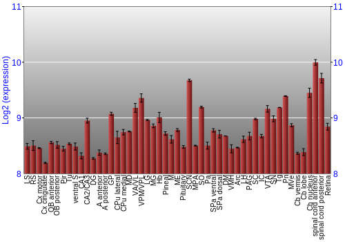 Expression graph