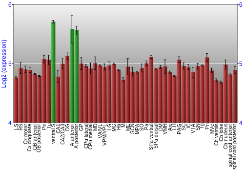 Multi-state expression graph