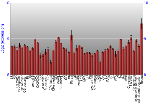 Expression graph