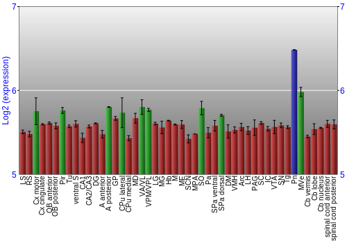 Multi-state expression graph