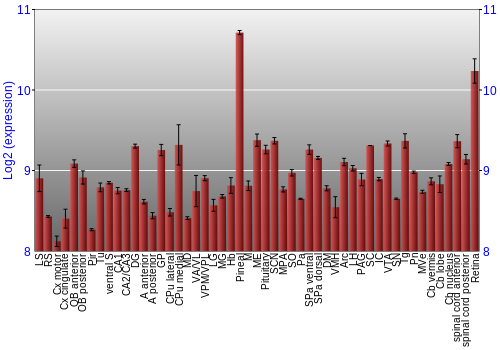 Expression graph