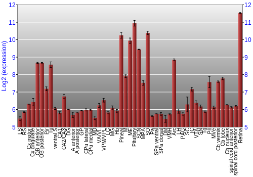Expression graph