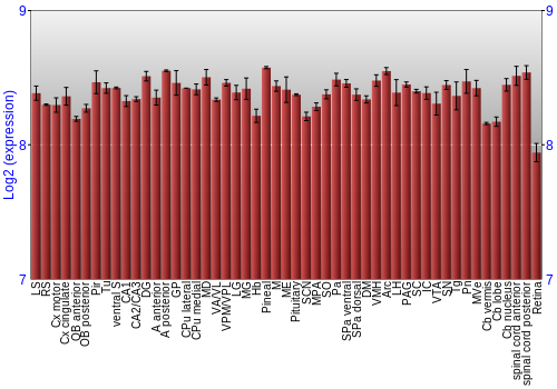 Expression graph