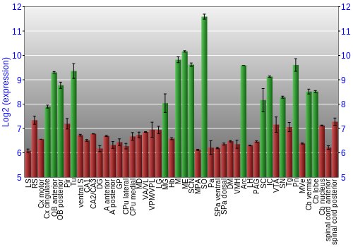 Multi-state expression graph