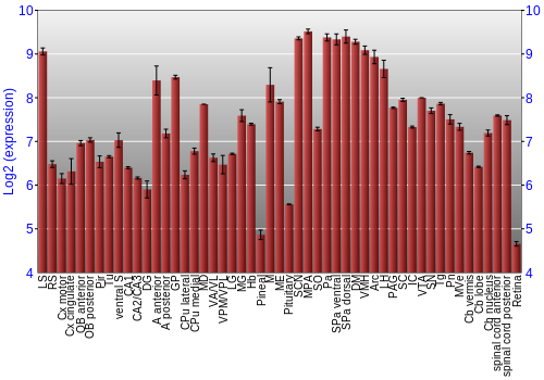 Expression graph