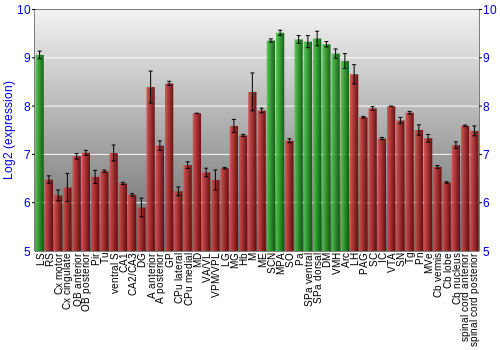 Multi-state expression graph