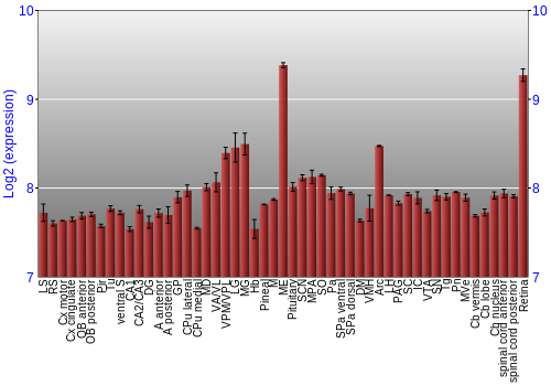 Expression graph