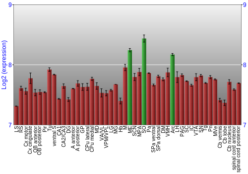 Multi-state expression graph