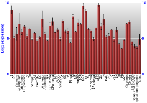 Expression graph