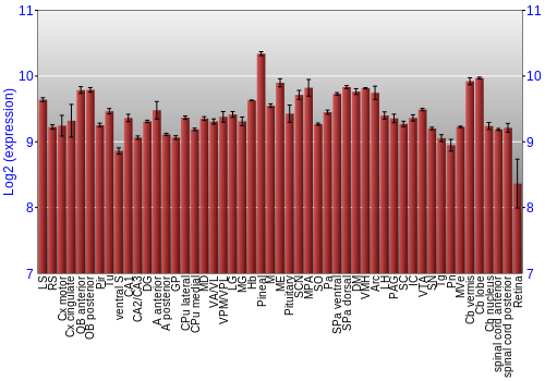 Expression graph