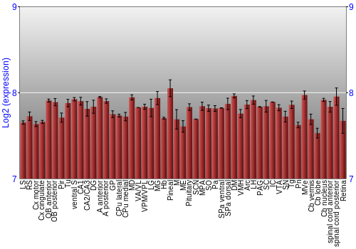 Expression graph