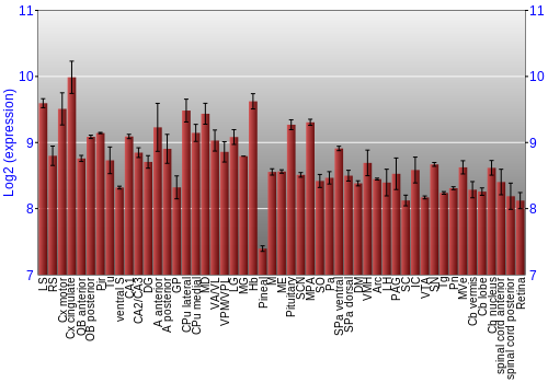 Expression graph
