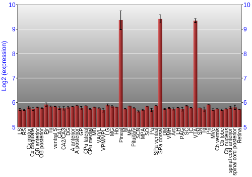 Expression graph