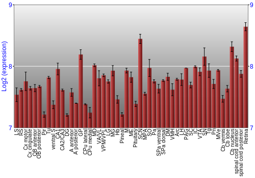 Expression graph