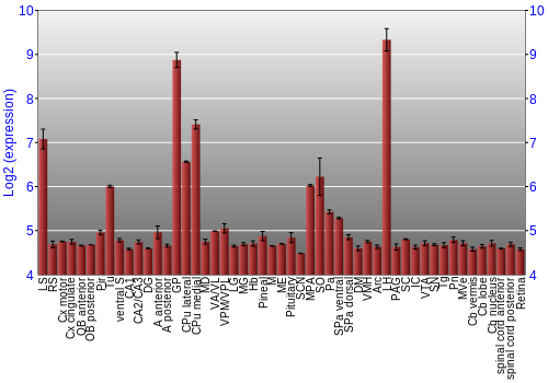 Expression graph