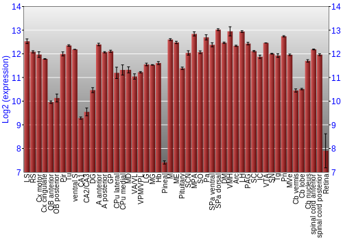 Expression graph