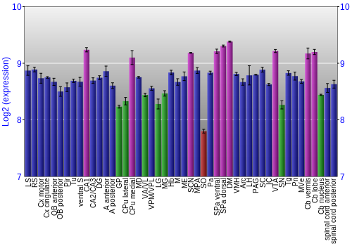 Multi-state expression graph