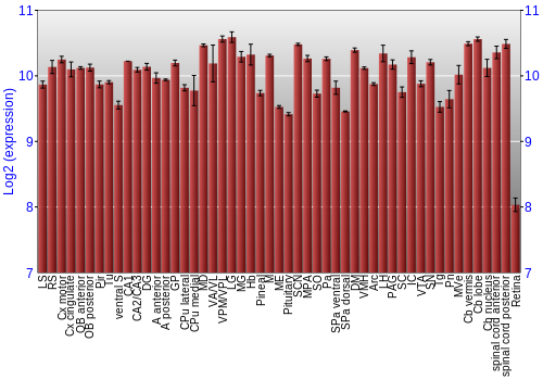 Expression graph