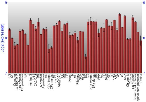 Expression graph