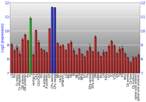 Multi-state expression graph