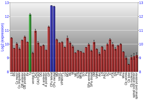 Multi-state expression graph