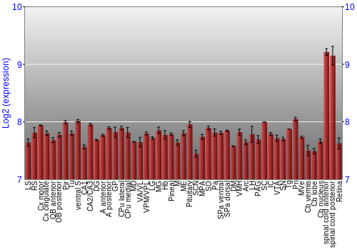 Expression graph