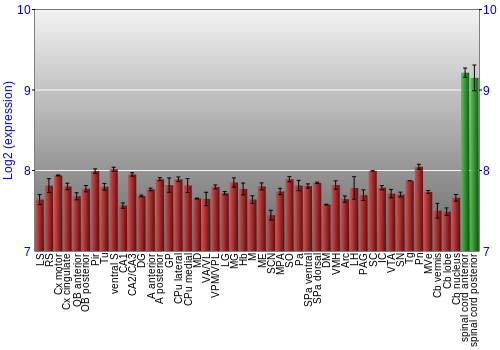 Multi-state expression graph