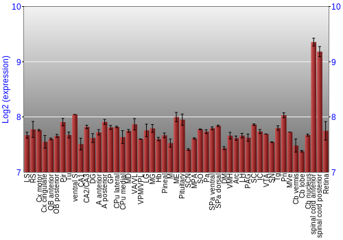 Expression graph
