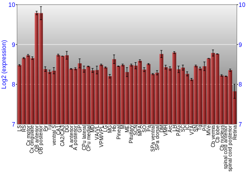 Expression graph
